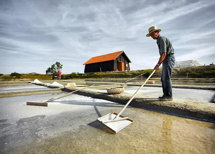 Pour 4 Centre - Proche De La Gare 생 힐레르 드 리에