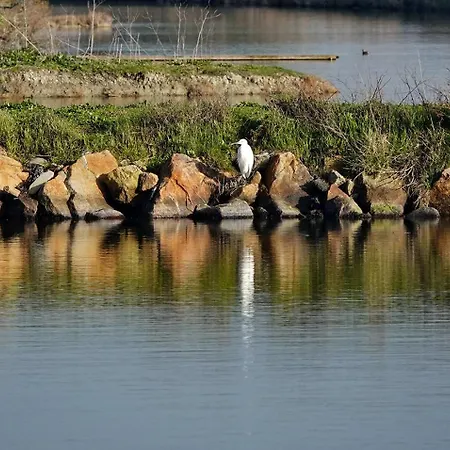 Pour 4 Centre - Proche De La Gare Appartement Saint-Hilaire-de-Riez
