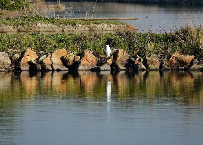 Pour 4 Centre - Proche De La Gare Apartamento Saint-Hilaire-de-Riez